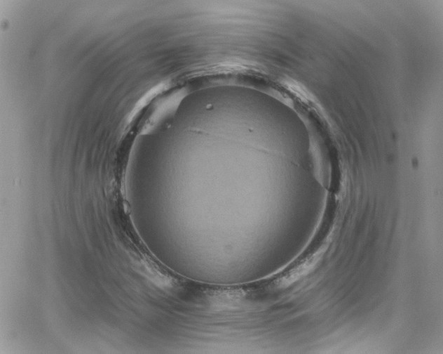 X0000066541210200603171232