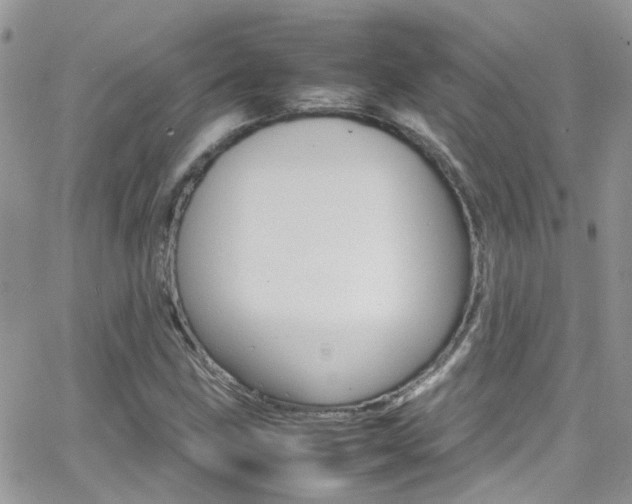 X0000066541211200603171232