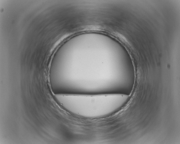 X0000066541212200603171232