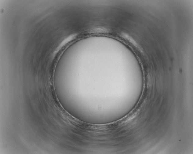 X0000066541213200603171232