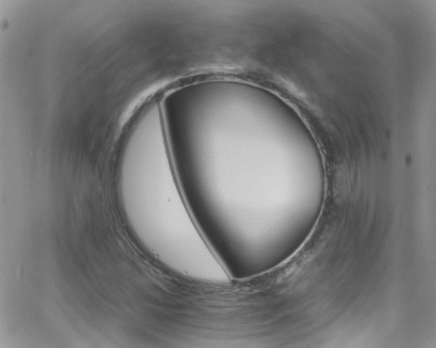 X0000066541214200603171232