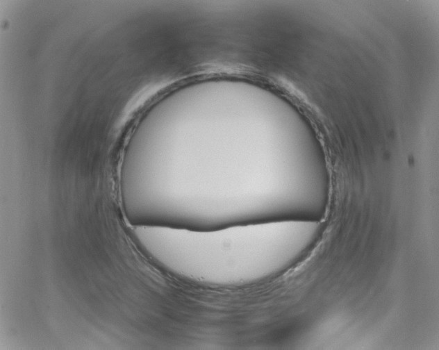 X0000066541215200603171232