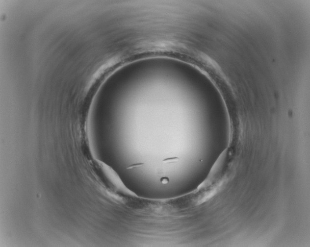 X0000066541218200603171232