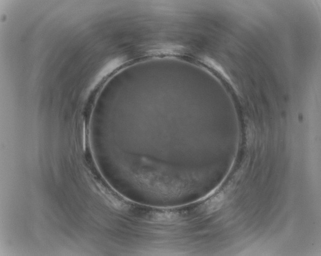 X0000066541219200603171232