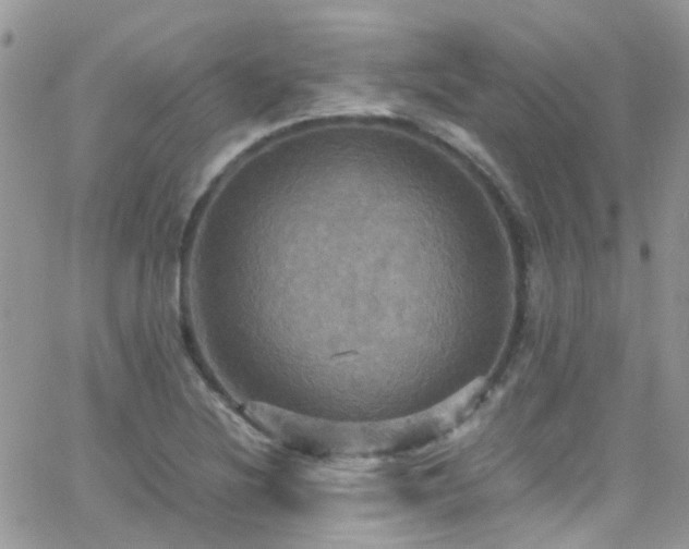 X0000066541220200603171232