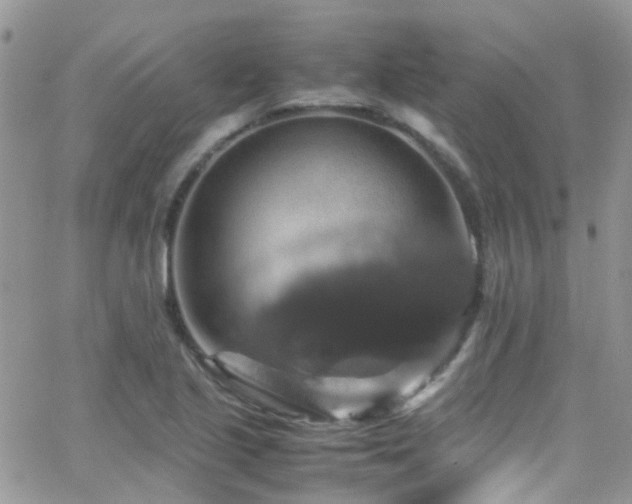 X0000066541221200603171232