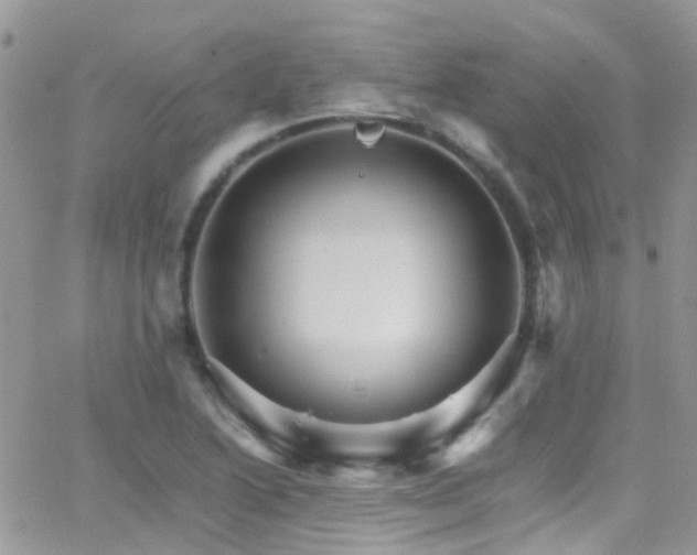 X0000066541222200603171232