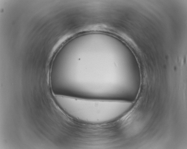 X0000066541224200603171232