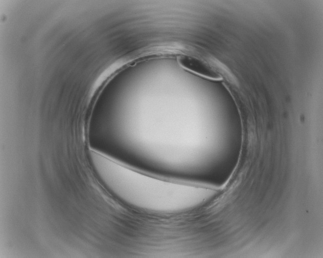 X0000066541226200603171232