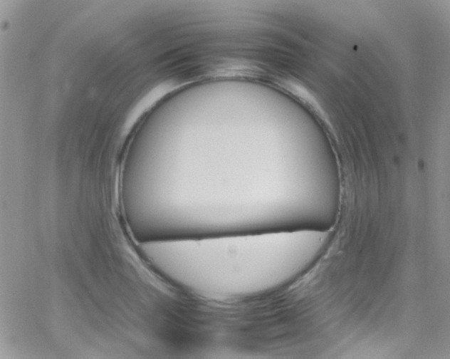 X0000066541227200603171232