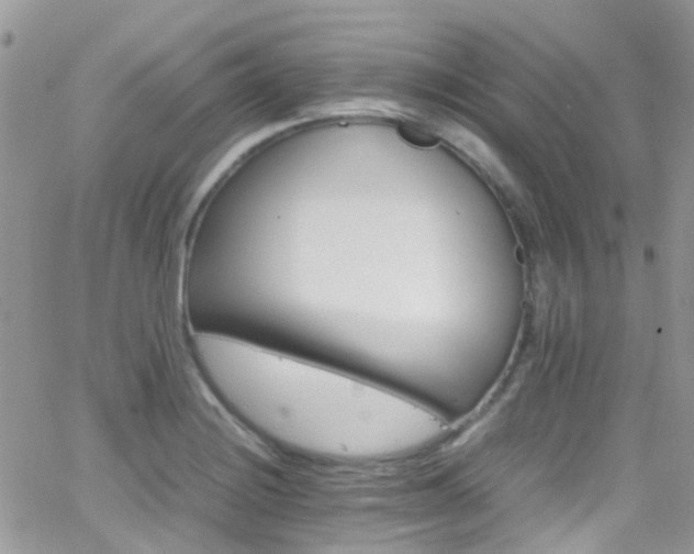 X0000066541228200603171232