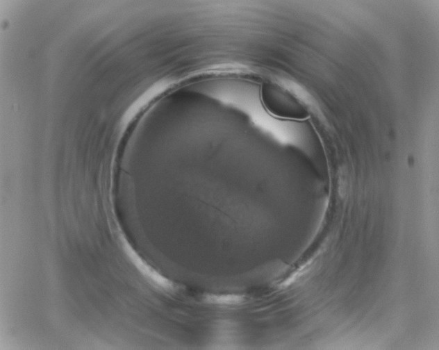 X0000066541229200603171232