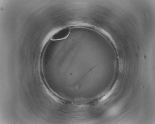 X0000066541231200603171232