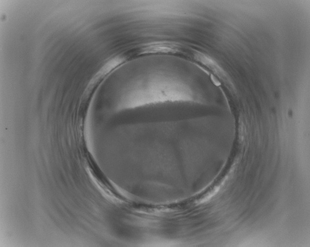 X0000066541233200603171232