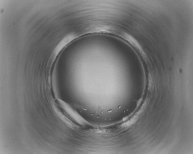 X0000066541234200603171232