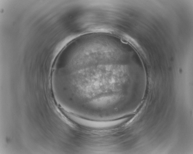 X0000066541236200603171232