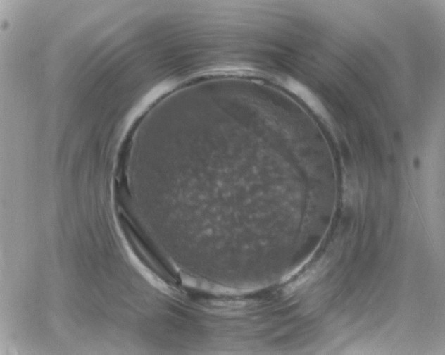 X0000066541237200603171232