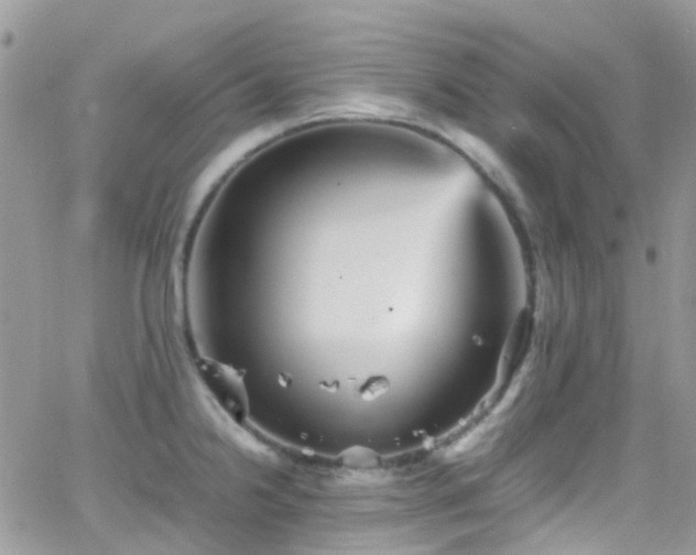 X0000066541238200603171233