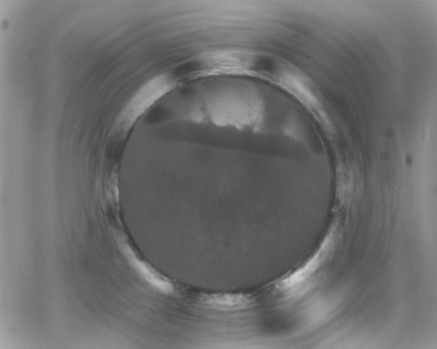 X0000066541241200603171233