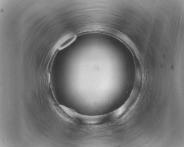 X0000066541242200603171233