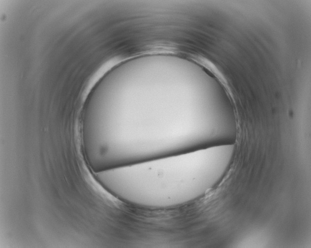 X0000066541243200603171233