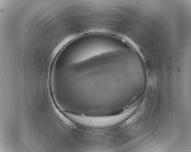 X0000066541245200603171233