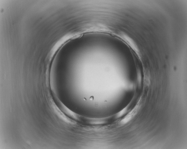 X0000066541246200603171233