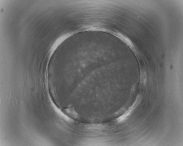 X0000066541247200603171233