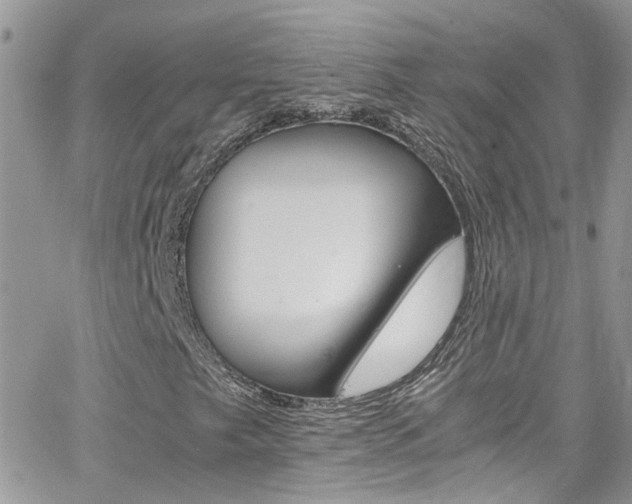 X0000066541249200603171232