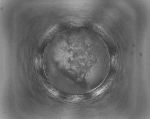 X0000066541251200603171232