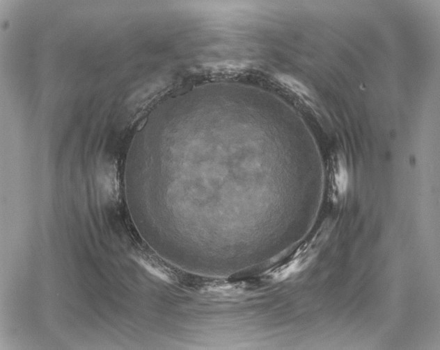 X0000066541252200603171232