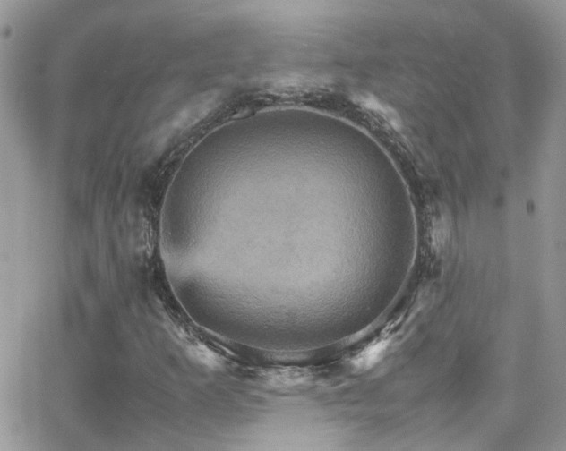 X0000066541253200603171232