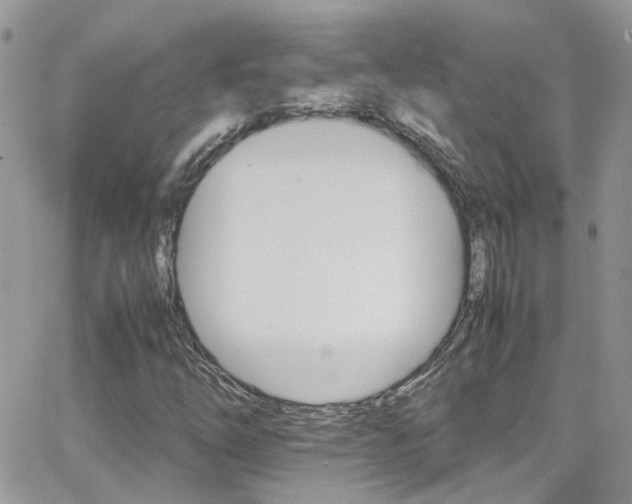 X0000066541254200603171232