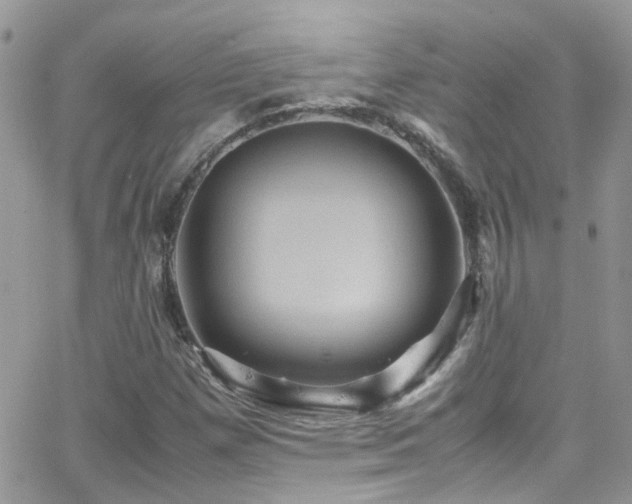 X0000066541257200603171232