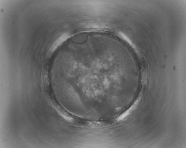 X0000066541259200603171232