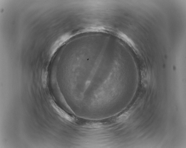 X0000066541260200603171232