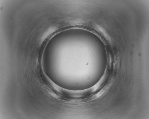 X0000066541261200603171232