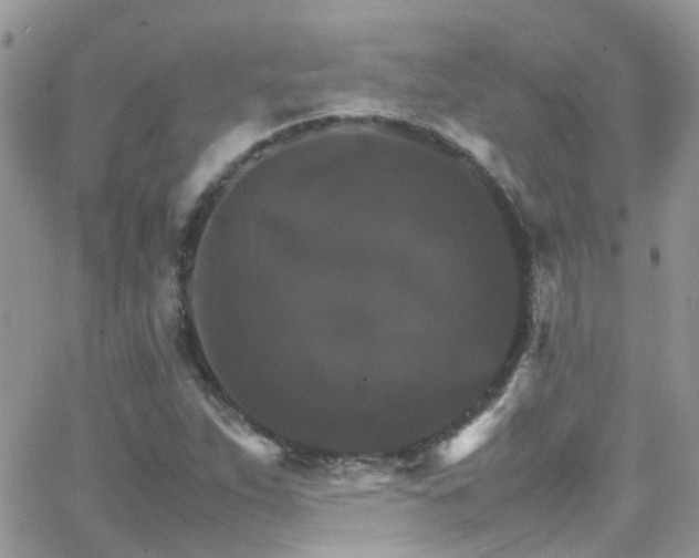 X0000066541263200603171232