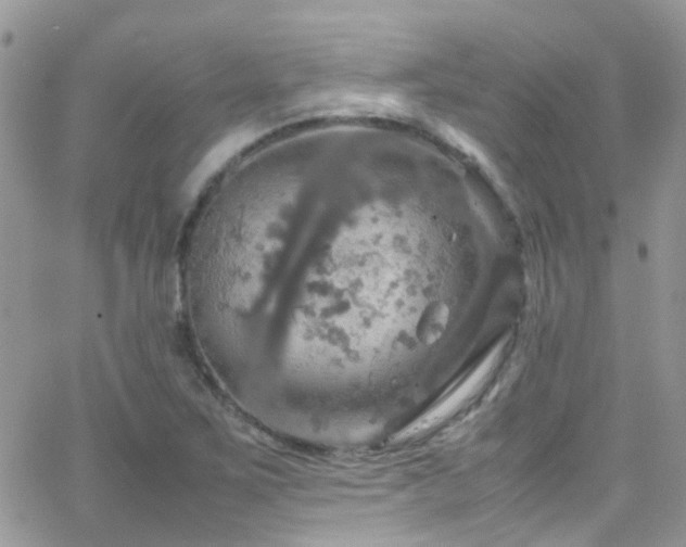 X0000066541267200603171232