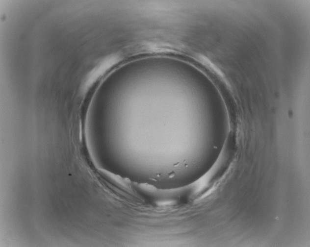 X0000066541269200603171232