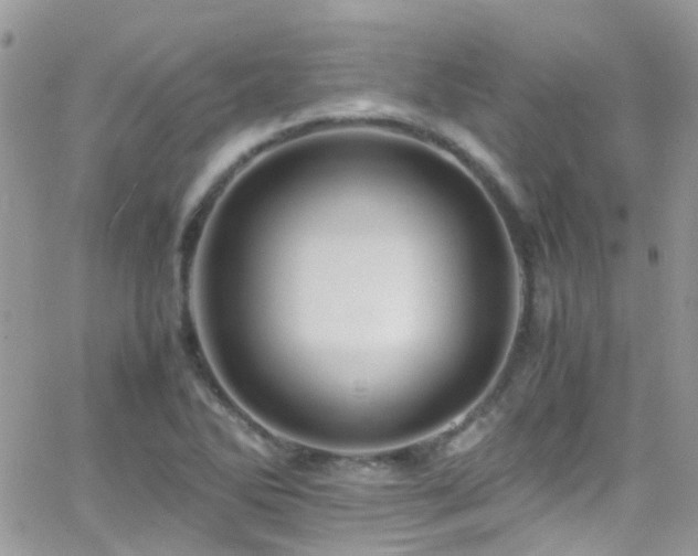 X0000066541270200603171232