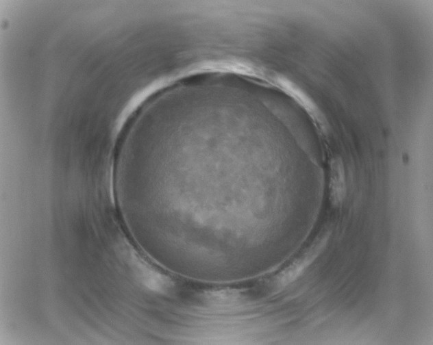 X0000066541272200603171232