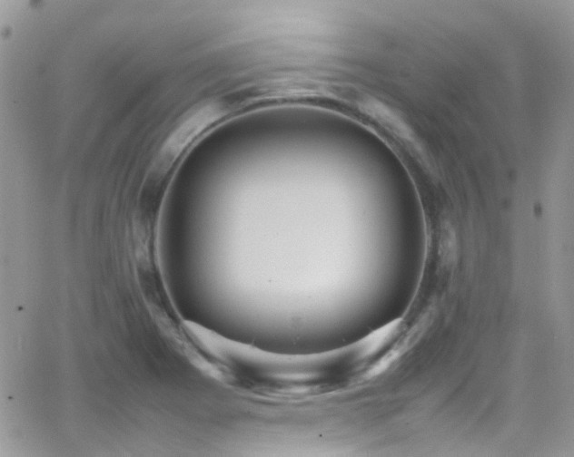 X0000066541273200603171232