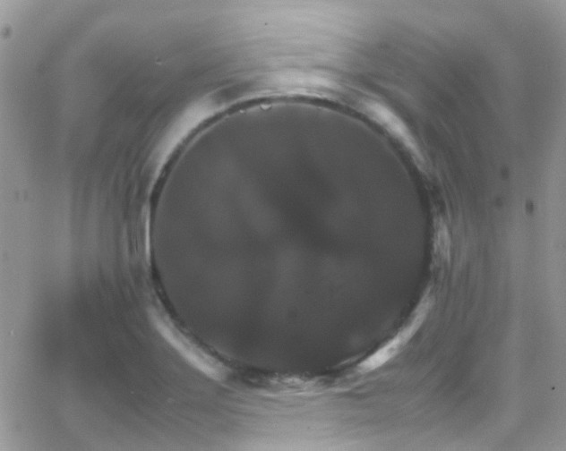 X0000066541275200603171231