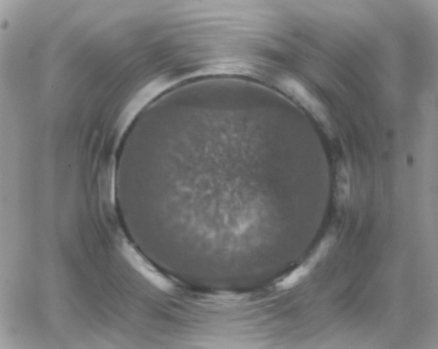 X0000066541276200603171231