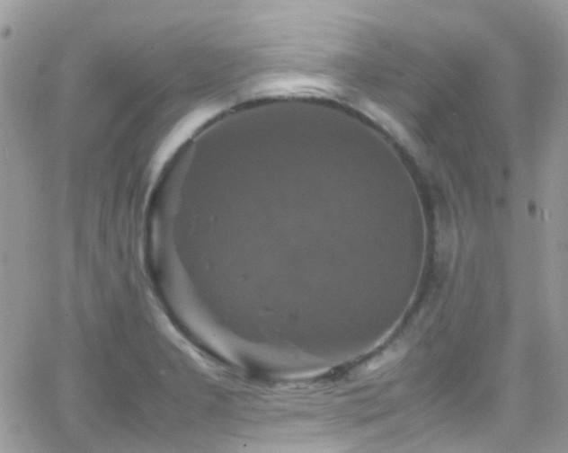 X0000066541277200603171231