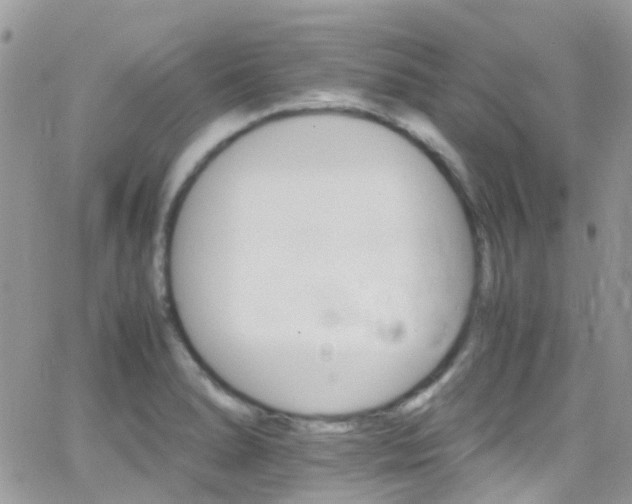 X0000066541278200603171231