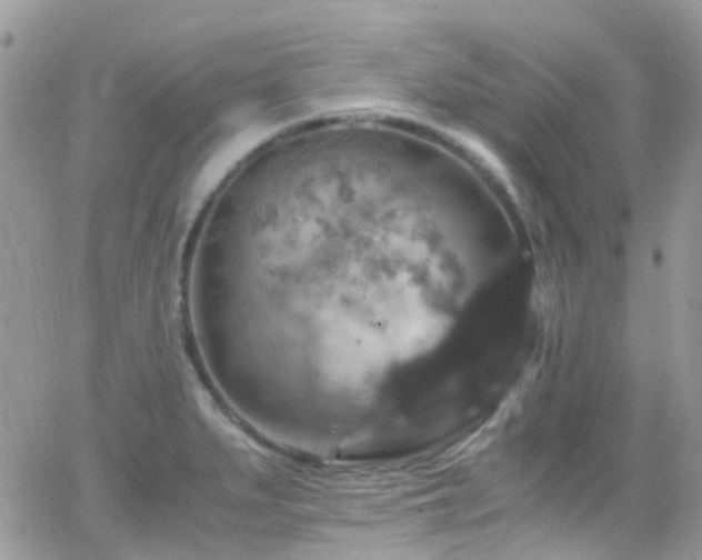 X0000066541279200603171231