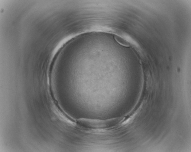 X0000066541280200603171231