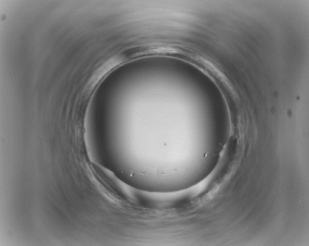 X0000066541281200603171231